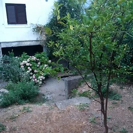 Apartman Na Obali דירה